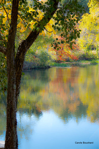 Nashua River in Pepperell MA by Carole Bouchard